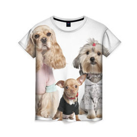 Женская футболка 3D с принтом Дивные собачки в Кировске, 100% полиэфир ( синтетическое хлопкоподобное полотно) | прямой крой, круглый вырез горловины, длина до линии бедер | весёлый | животное | зверёк | игривый | классный | красивый | лучший друг человека | любимец | милый | охрана | пёс | питомец | прикольный | смешной | собака | собачонка | ум | щенок | щеночек