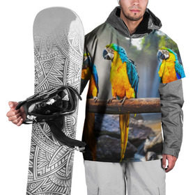 Накидка на куртку 3D с принтом Экзотические попугаи в Кировске, 100% полиэстер |  | джунгли | клюв | острова | перья | попугай | птица | тропики | экзотика