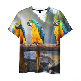 Мужская футболка 3D с принтом Экзотические попугаи в Кировске, 100% полиэфир | прямой крой, круглый вырез горловины, длина до линии бедер | джунгли | клюв | острова | перья | попугай | птица | тропики | экзотика