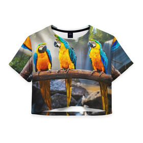 Женская футболка 3D укороченная с принтом Экзотические попугаи в Кировске, 100% полиэстер | круглая горловина, длина футболки до линии талии, рукава с отворотами | джунгли | клюв | острова | перья | попугай | птица | тропики | экзотика
