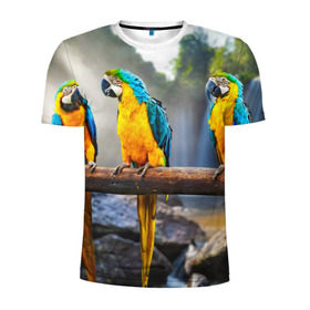 Мужская футболка 3D спортивная с принтом Экзотические попугаи в Кировске, 100% полиэстер с улучшенными характеристиками | приталенный силуэт, круглая горловина, широкие плечи, сужается к линии бедра | джунгли | клюв | острова | перья | попугай | птица | тропики | экзотика