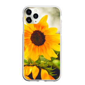Чехол для iPhone 11 Pro матовый с принтом Подсолнухи в Кировске, Силикон |  | лето | подсолнух | солнце | цветы