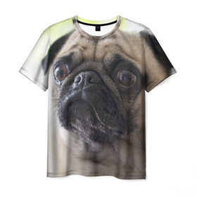 Мужская футболка 3D с принтом Мопс в Кировске, 100% полиэфир | прямой крой, круглый вырез горловины, длина до линии бедер | мопс | мопсы | собака | собаки