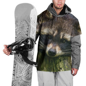 Накидка на куртку 3D с принтом Енотик в Кировске, 100% полиэстер |  | енот | животные | звери | природа