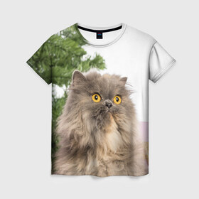 Женская футболка 3D с принтом Пушистый кот в Кировске, 100% полиэфир ( синтетическое хлопкоподобное полотно) | прямой крой, круглый вырез горловины, длина до линии бедер | 