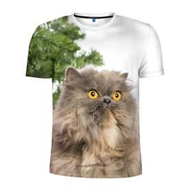 Мужская футболка 3D спортивная с принтом Пушистый кот в Кировске, 100% полиэстер с улучшенными характеристиками | приталенный силуэт, круглая горловина, широкие плечи, сужается к линии бедра | 