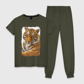 Женская пижама хлопок с принтом Тигр (retro style) в Кировске, 100% хлопок | брюки и футболка прямого кроя, без карманов, на брюках мягкая резинка на поясе и по низу штанин | tiger | дикая кошка | тигр | хищник
