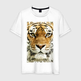 Мужская футболка хлопок с принтом Тигр (retro style) в Кировске, 100% хлопок | прямой крой, круглый вырез горловины, длина до линии бедер, слегка спущенное плечо. | tiger | дикая кошка | тигр | хищник