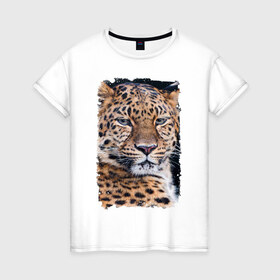 Женская футболка хлопок с принтом Леопард (retro style) в Кировске, 100% хлопок | прямой крой, круглый вырез горловины, длина до линии бедер, слегка спущенное плечо | 