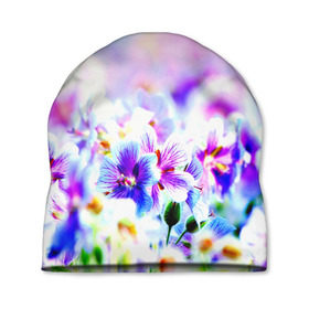 Шапка 3D с принтом Цветочное поле в Кировске, 100% полиэстер | универсальный размер, печать по всей поверхности изделия | весна | лето | цветочки | цветы