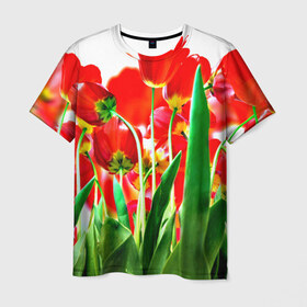 Мужская футболка 3D с принтом Тюльпаны в Кировске, 100% полиэфир | прямой крой, круглый вырез горловины, длина до линии бедер | 