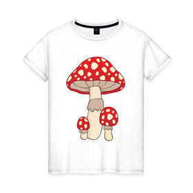 Женская футболка хлопок с принтом Мухоморы в Кировске, 100% хлопок | прямой крой, круглый вырез горловины, длина до линии бедер, слегка спущенное плечо | грибы | поганки