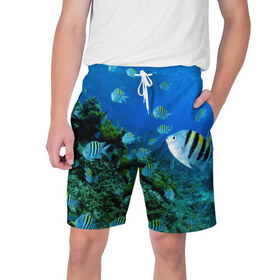 Мужские шорты 3D с принтом Подводный мир в Кировске,  полиэстер 100% | прямой крой, два кармана без застежек по бокам. Мягкая трикотажная резинка на поясе, внутри которой широкие завязки. Длина чуть выше колен | дно | океан | природа | рыбки
