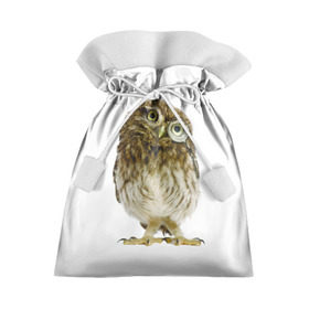 Подарочный 3D мешок с принтом Сова в Кировске, 100% полиэстер | Размер: 29*39 см | прикольные картинки | птица | сова | ум