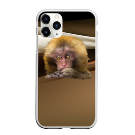 Чехол для iPhone 11 Pro Max матовый с принтом Мартышка в Кировске, Силикон |  | голова животного | мартышка | обезьяна | прикольные картинки