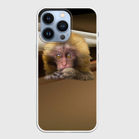 Чехол для iPhone 13 Pro с принтом Мартышка в Кировске,  |  | голова животного | мартышка | обезьяна | прикольные картинки