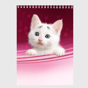 Скетчбук с принтом Белый котёнок в Кировске, 100% бумага
 | 48 листов, плотность листов — 100 г/м2, плотность картонной обложки — 250 г/м2. Листы скреплены сверху удобной пружинной спиралью | киска | кот | котёнок | кошка | прикольные картинки