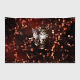 Флаг-баннер Котята: в Кировске, 100% полиэстер | размер 67 х 109 см, плотность ткани — 95 г/м2; по краям флага есть четыре люверса для крепления | киска | кот | котёнок | кошка | прикольные картинки