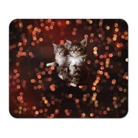 Коврик прямоугольный с принтом Котята в Кировске, натуральный каучук | размер 230 х 185 мм; запечатка лицевой стороны | киска | кот | котёнок | кошка | прикольные картинки