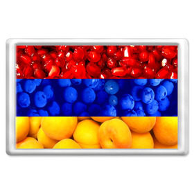 Магнит 45*70 с принтом Флаг Армении в Кировске, Пластик | Размер: 78*52 мм; Размер печати: 70*45 | армения | гранат | персик | слива | страны | флаг армении | фрукты