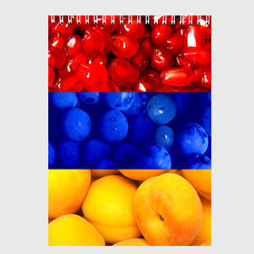 Скетчбук с принтом Флаг Армении в Кировске, 100% бумага
 | 48 листов, плотность листов — 100 г/м2, плотность картонной обложки — 250 г/м2. Листы скреплены сверху удобной пружинной спиралью | Тематика изображения на принте: армения | гранат | персик | слива | страны | флаг армении | фрукты