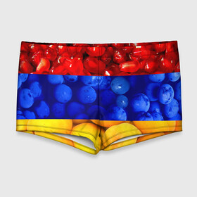 Мужские купальные плавки 3D с принтом Флаг Армении в Кировске, Полиэстер 85%, Спандекс 15% |  | Тематика изображения на принте: армения | гранат | персик | слива | страны | флаг армении | фрукты