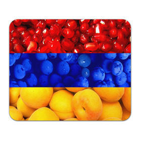 Коврик прямоугольный с принтом Флаг Армении в Кировске, натуральный каучук | размер 230 х 185 мм; запечатка лицевой стороны | Тематика изображения на принте: армения | гранат | персик | слива | страны | флаг армении | фрукты