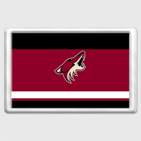 Магнит 45*70 с принтом Arizona Coyotes в Кировске, Пластик | Размер: 78*52 мм; Размер печати: 70*45 | Тематика изображения на принте: arizona coyotes | hockey | nhl | нхл | хоккей