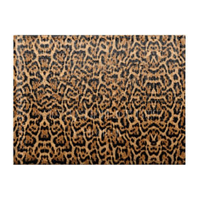 Обложка для студенческого билета с принтом Jaguar в Кировске, натуральная кожа | Размер: 11*8 см; Печать на всей внешней стороне | Тематика изображения на принте: оцелот | пума | текстура | ягуар
