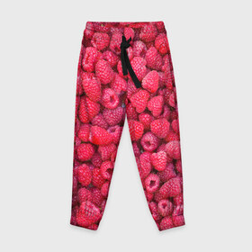 Детские брюки 3D с принтом Малинки в Кировске, 100% полиэстер | манжеты по низу, эластичный пояс регулируется шнурком, по бокам два кармана без застежек, внутренняя часть кармана из мелкой сетки | raspberry | летняя | ягодн
