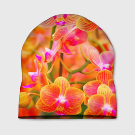 Шапка 3D с принтом Орхирея в Кировске, 100% полиэстер | универсальный размер, печать по всей поверхности изделия | Тематика изображения на принте: красивая | орхидея | природа | цветы | яркая