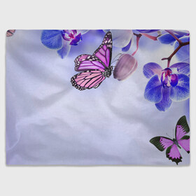 Плед 3D с принтом Цветы с бабочкой в Кировске, 100% полиэстер | закругленные углы, все края обработаны. Ткань не мнется и не растягивается | Тематика изображения на принте: бабочки | весна | краски | лето | осень | цветок | цветы