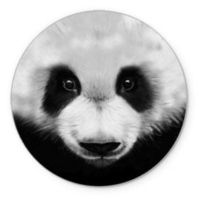 Коврик круглый с принтом Морда панды в Кировске, резина и полиэстер | круглая форма, изображение наносится на всю лицевую часть | 