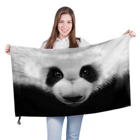Флаг 3D с принтом Морда панды в Кировске, 100% полиэстер | плотность ткани — 95 г/м2, размер — 67 х 109 см. Принт наносится с одной стороны | 