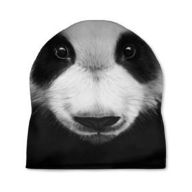 Шапка 3D с принтом Морда панды в Кировске, 100% полиэстер | универсальный размер, печать по всей поверхности изделия | Тематика изображения на принте: 