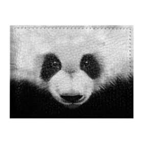 Обложка для студенческого билета с принтом Морда панды в Кировске, натуральная кожа | Размер: 11*8 см; Печать на всей внешней стороне | 