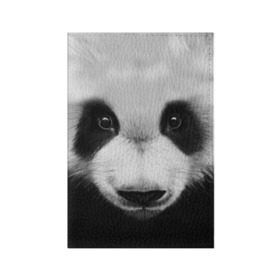Обложка для паспорта матовая кожа с принтом Морда панды в Кировске, натуральная матовая кожа | размер 19,3 х 13,7 см; прозрачные пластиковые крепления | Тематика изображения на принте: 