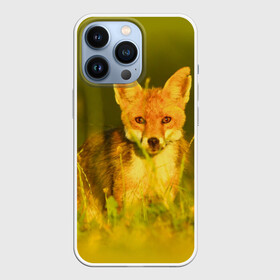 Чехол для iPhone 13 Pro с принтом Лисичка в Кировске,  |  | животные | лиса | поле | природа