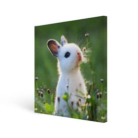 Холст квадратный с принтом Кролик в Кировске, 100% ПВХ |  | animal | baby | cute | flowers | fluffy | hare | lawn | little | meadow | rabbit | животное | заяц | кролик | луг | лужайка | маленький | малыш | милый | пушистый | цветы