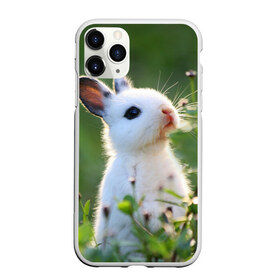 Чехол для iPhone 11 Pro матовый с принтом Кролик в Кировске, Силикон |  | animal | baby | cute | flowers | fluffy | hare | lawn | little | meadow | rabbit | животное | заяц | кролик | луг | лужайка | маленький | малыш | милый | пушистый | цветы