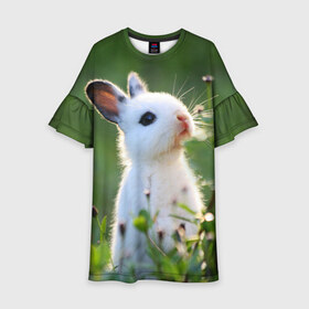 Детское платье 3D с принтом Кролик в Кировске, 100% полиэстер | прямой силуэт, чуть расширенный к низу. Круглая горловина, на рукавах — воланы | animal | baby | cute | flowers | fluffy | hare | lawn | little | meadow | rabbit | животное | заяц | кролик | луг | лужайка | маленький | малыш | милый | пушистый | цветы