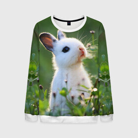 Мужской свитшот 3D с принтом Кролик в Кировске, 100% полиэстер с мягким внутренним слоем | круглый вырез горловины, мягкая резинка на манжетах и поясе, свободная посадка по фигуре | animal | baby | cute | flowers | fluffy | hare | lawn | little | meadow | rabbit | животное | заяц | кролик | луг | лужайка | маленький | малыш | милый | пушистый | цветы