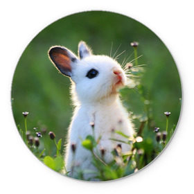 Коврик круглый с принтом Кролик в Кировске, резина и полиэстер | круглая форма, изображение наносится на всю лицевую часть | animal | baby | cute | flowers | fluffy | hare | lawn | little | meadow | rabbit | животное | заяц | кролик | луг | лужайка | маленький | малыш | милый | пушистый | цветы