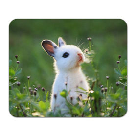 Коврик прямоугольный с принтом Кролик в Кировске, натуральный каучук | размер 230 х 185 мм; запечатка лицевой стороны | animal | baby | cute | flowers | fluffy | hare | lawn | little | meadow | rabbit | животное | заяц | кролик | луг | лужайка | маленький | малыш | милый | пушистый | цветы