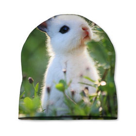Шапка 3D с принтом Кролик в Кировске, 100% полиэстер | универсальный размер, печать по всей поверхности изделия | animal | baby | cute | flowers | fluffy | hare | lawn | little | meadow | rabbit | животное | заяц | кролик | луг | лужайка | маленький | малыш | милый | пушистый | цветы