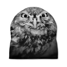 Шапка 3D с принтом Сова в Кировске, 100% полиэстер | универсальный размер, печать по всей поверхности изделия | beak | bird | eyes | fear | hypnosis | look | night | owl | predator | взгляд | гипноз | глаза | клюв | ночь | птица | сова | хищник