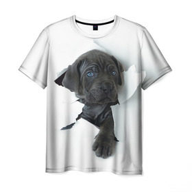 Мужская футболка 3D с принтом щенок Кане Корсо в Кировске, 100% полиэфир | прямой крой, круглый вырез горловины, длина до линии бедер | animal | black | break | breed | dog | kid | paper | puppy | tear | torn | дог | животное | малыш | порода | прорыв | разрыв | рваная | собака | черный | щенок