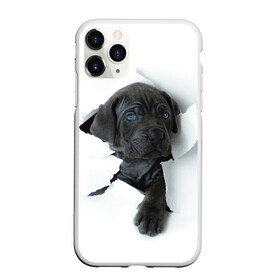Чехол для iPhone 11 Pro матовый с принтом щенок Кане Корсо в Кировске, Силикон |  | animal | black | break | breed | dog | kid | paper | puppy | tear | torn | дог | животное | малыш | порода | прорыв | разрыв | рваная | собака | черный | щенок