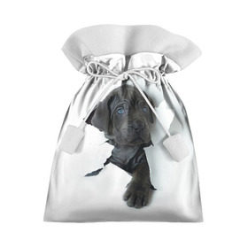 Подарочный 3D мешок с принтом щенок Кане Корсо в Кировске, 100% полиэстер | Размер: 29*39 см | animal | black | break | breed | dog | kid | paper | puppy | tear | torn | дог | животное | малыш | порода | прорыв | разрыв | рваная | собака | черный | щенок