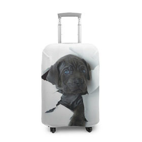 Чехол для чемодана 3D с принтом щенок Кане Корсо в Кировске, 86% полиэфир, 14% спандекс | двустороннее нанесение принта, прорези для ручек и колес | animal | black | break | breed | dog | kid | paper | puppy | tear | torn | дог | животное | малыш | порода | прорыв | разрыв | рваная | собака | черный | щенок